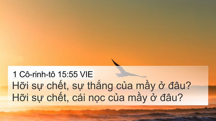 1 Cô-rinh-tô 15:55 VIE Bible Verse Image