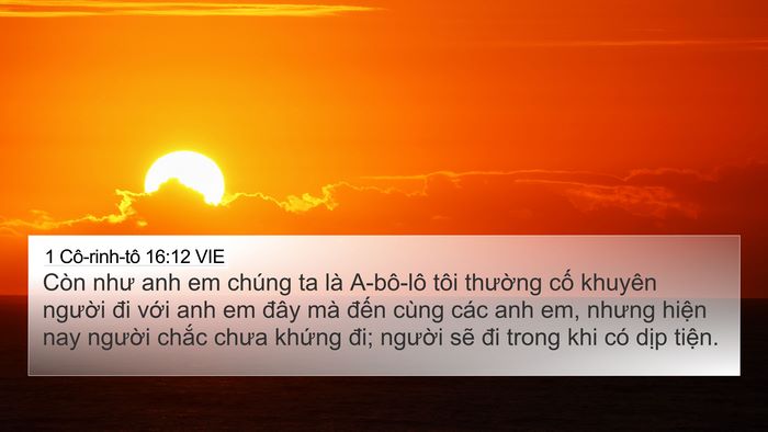 1 Cô-rinh-tô 16:12 VIE Bible Verse Image