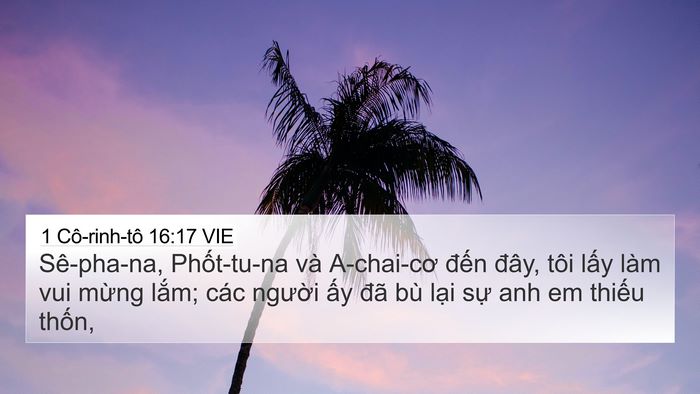1 Cô-rinh-tô 16:17 VIE Bible Verse Image