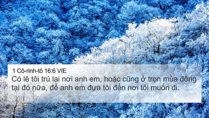 1 Cô-rinh-tô 16:6 VIE Bible Verse Image