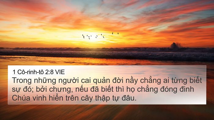 1 Cô-rinh-tô 2:8 VIE Bible Verse Image