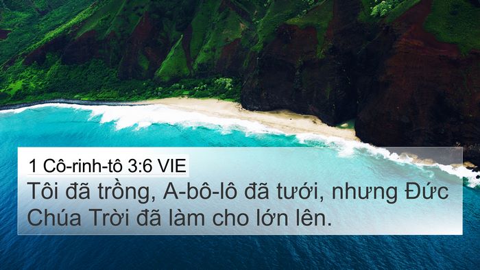 1 Cô-rinh-tô 3:6 VIE Bible Verse Image