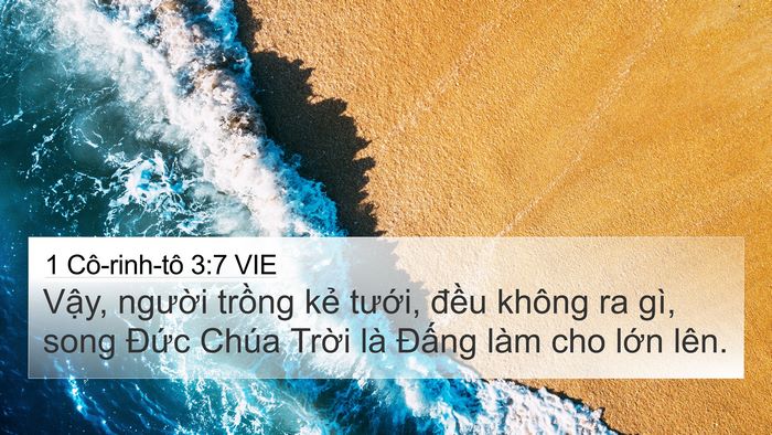 1 Cô-rinh-tô 3:7 VIE 4K Wallpaper - Vậy, người trồng kẻ tưới, đều - 4K Wallpaper Bible Verse