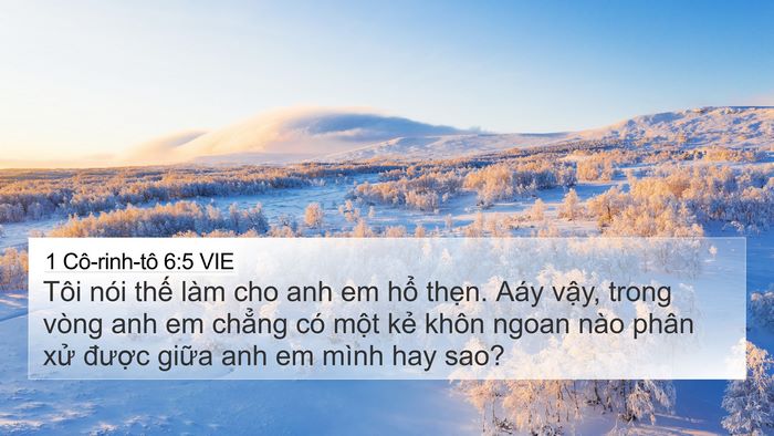 1 Cô-rinh-tô 6:5 VIE Bible Verse Image