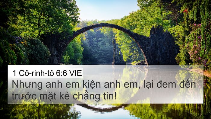 1 Cô-rinh-tô 6:6 VIE Bible Verse Image