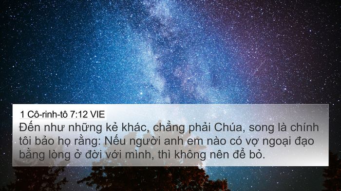 1 Cô-rinh-tô 7:12 VIE Bible Verse Image