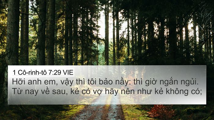 1 Cô-rinh-tô 7:29 VIE Bible Verse Image