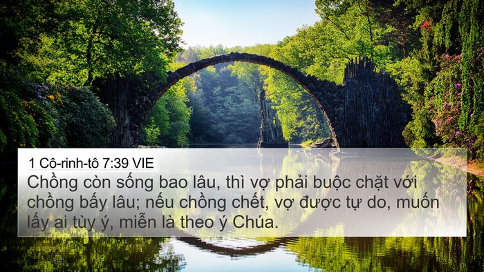 1 Cô-rinh-tô 7:39 VIE Bible Verse Image