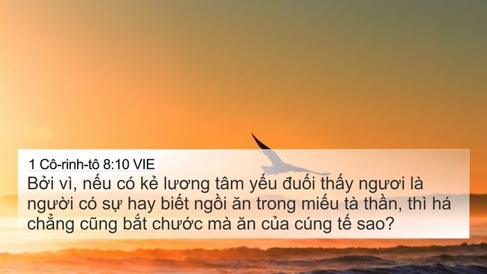 1 Cô-rinh-tô 8:10 VIE Bible Verse Image