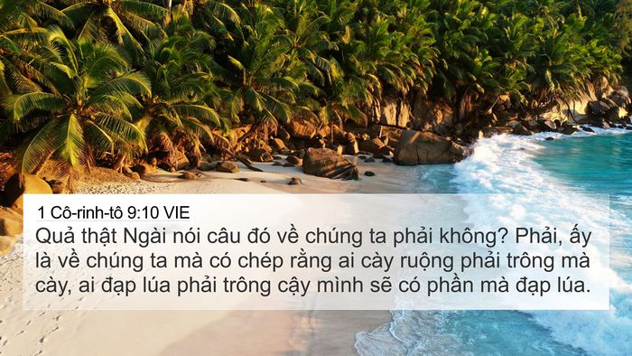 1 Cô-rinh-tô 9:10 VIE Bible Verse Image