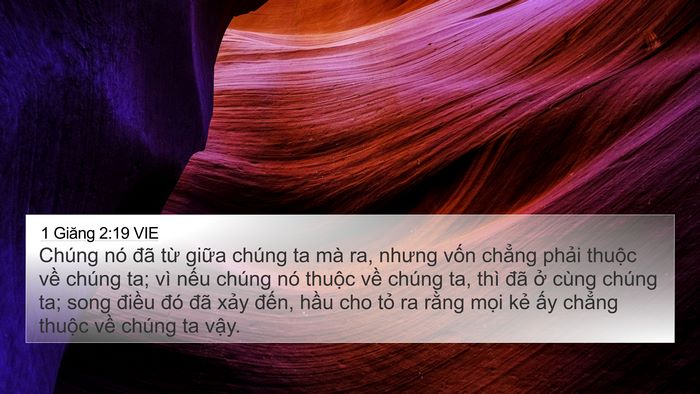 1 Giăng 2:19 VIE Bible Verse Image