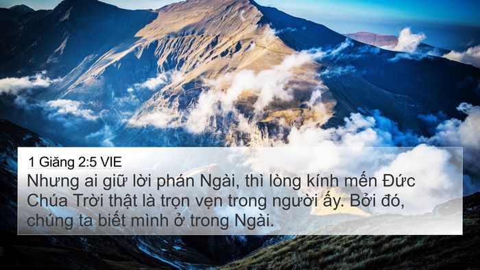 1 Giăng 2:5 VIE Bible Verse Image