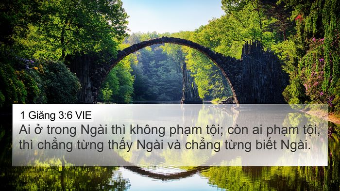 1 Giăng 3:6 VIE 4K Wallpaper - Ai ở trong Ngài thì không phạm tội; còn - 4K Wallpaper Bible Verse