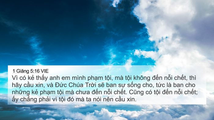 1 Giăng 5:16 VIE Bible Verse Image