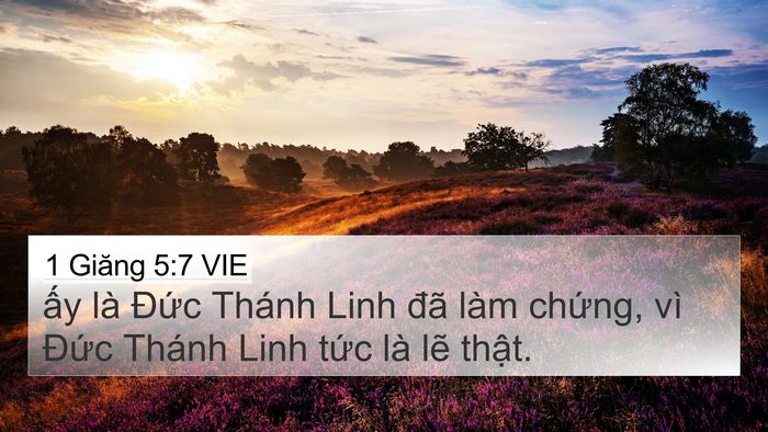 1 Giăng 5:7 VIE Bible Verse Image