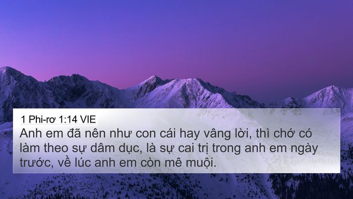 1 Phi-rơ 1:14 VIE 4K Wallpaper - Anh em đã nên như con cái hay vâng lời, - 4K Wallpaper Bible Verse