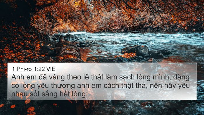 1 Phi-rơ 1:22 VIE Bible Verse Image