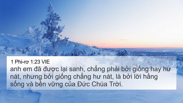 1 Phi-rơ 1:23 VIE Bible Verse Image