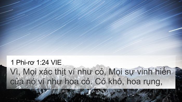 1 Phi-rơ 1:24 VIE Bible Verse Image