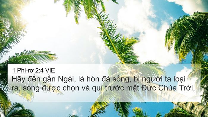 1 Phi-rơ 2:4 VIE Bible Verse Image
