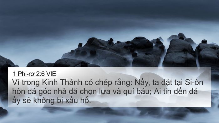 1 Phi-rơ 2:6 VIE Bible Verse Image