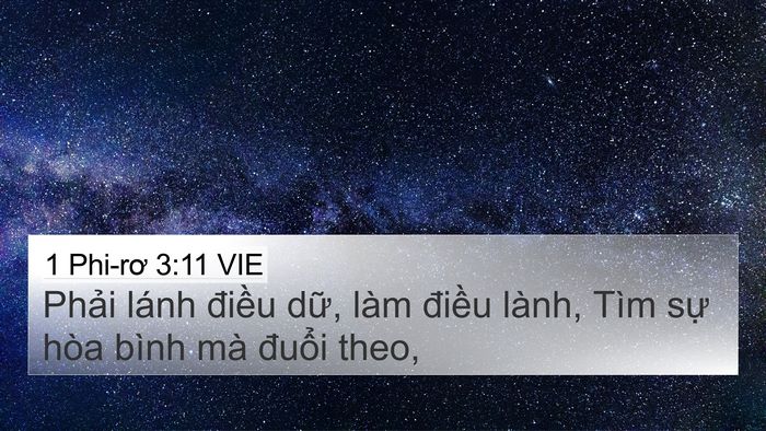 1 Phi-rơ 3:11 VIE 4K Wallpaper - Phải lánh điều dữ, làm điều lành, - 4K Wallpaper Bible Verse