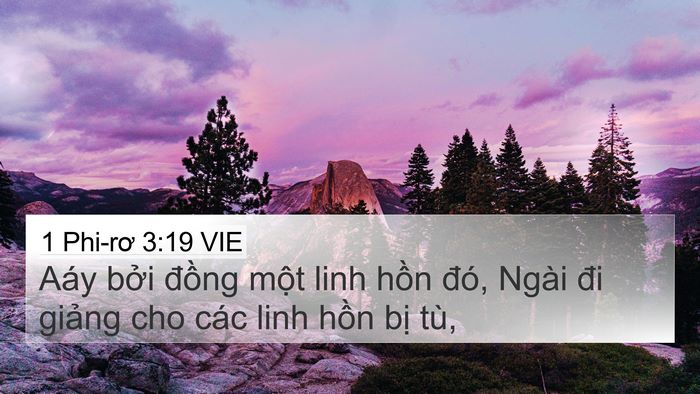 1 Phi-rơ 3:19 VIE Bible Verse Image