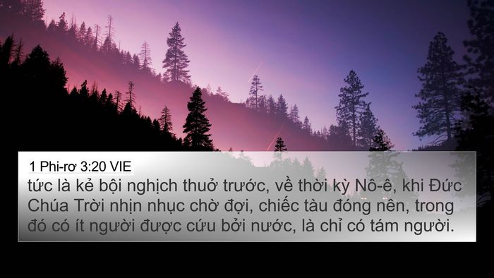 1 Phi-rơ 3:20 VIE Bible Verse Image