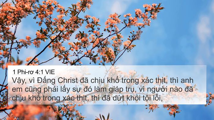 1 Phi-rơ 4:1 VIE Bible Verse Image
