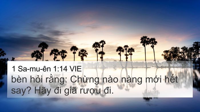1 Sa-mu-ên 1:14 VIE Bible Verse Image