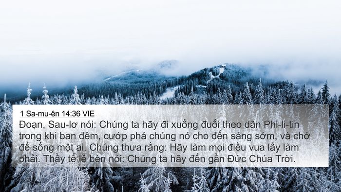 1 Sa-mu-ên 14:36 VIE Bible Verse Image