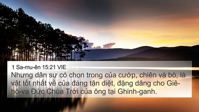 1 Sa-mu-ên 15:21 VIE Bible Verse Image