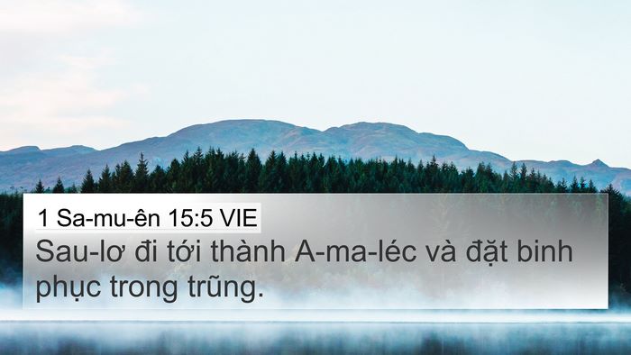 1 Sa-mu-ên 15:5 VIE 4K Wallpaper - Sau-lơ đi tới thành A-ma-léc và đặt - 4K Wallpaper Bible Verse
