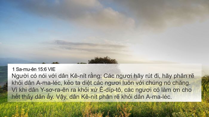 1 Sa-mu-ên 15:6 VIE 4K Wallpaper - Người có nói với dân Kê-nít rằng: - 4K Wallpaper Bible Verse