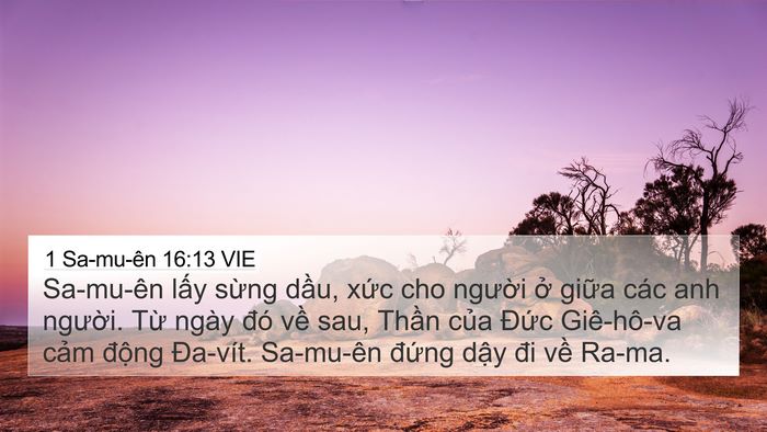 1 Sa-mu-ên 16:13 VIE Bible Verse Image