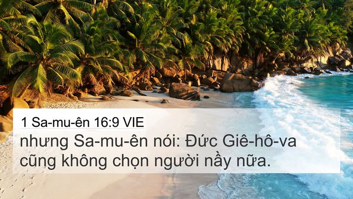 1 Sa-mu-ên 16:9 VIE Bible Verse Image