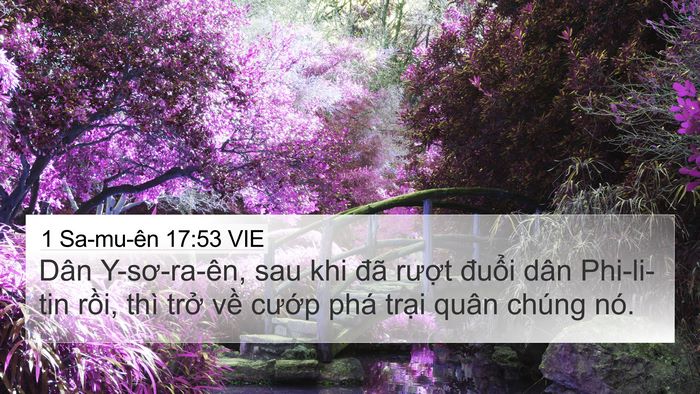1 Sa-mu-ên 17:53 VIE 4K Wallpaper - Dân Y-sơ-ra-ên, sau khi đã rượt đuổi - 4K Wallpaper Bible Verse