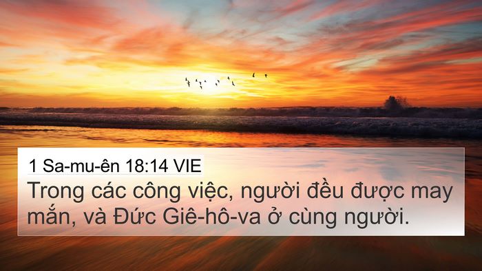 1 Sa-mu-ên 18:14 VIE Bible Verse Image