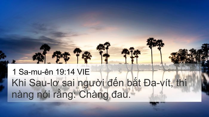 1 Sa-mu-ên 19:14 VIE Bible Verse Image