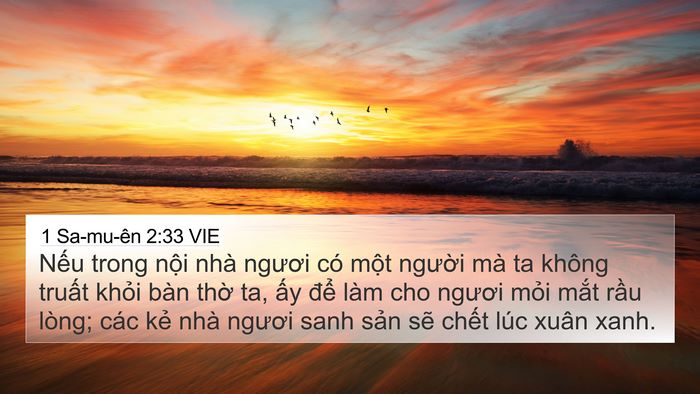 1 Sa-mu-ên 2:33 VIE Bible Verse Image