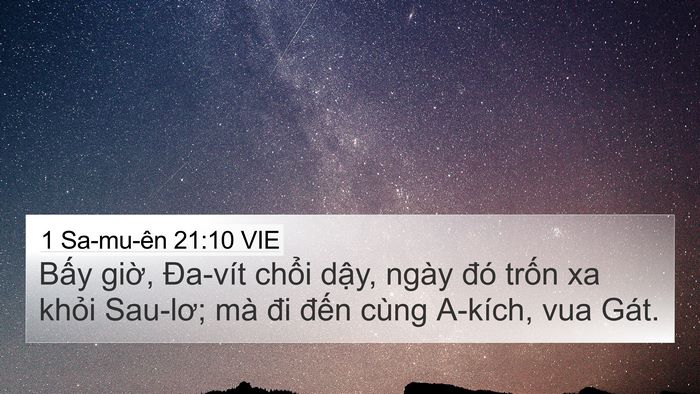 1 Sa-mu-ên 21:10 VIE Bible Verse Image