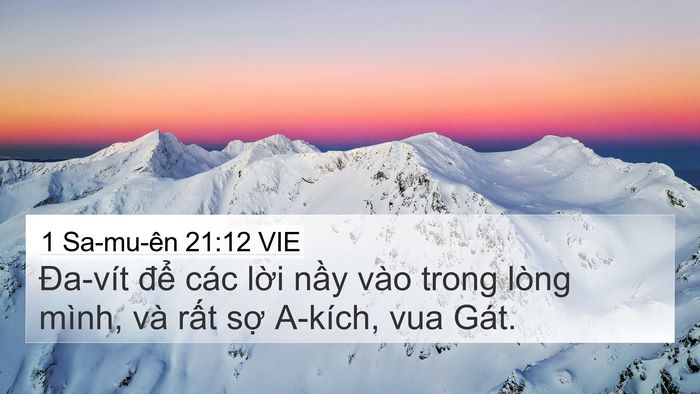 1 Sa-mu-ên 21:12 VIE Bible Verse Image
