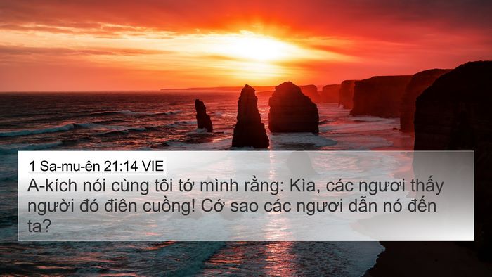 1 Sa-mu-ên 21:14 VIE 4K Wallpaper - A-kích nói cùng tôi tớ mình rằng: Kìa, - 4K Wallpaper Bible Verse