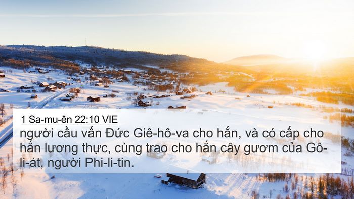 1 Sa-mu-ên 22:10 VIE 4K Wallpaper - người cầu vấn Đức Giê-hô-va cho - 4K Wallpaper Bible Verse