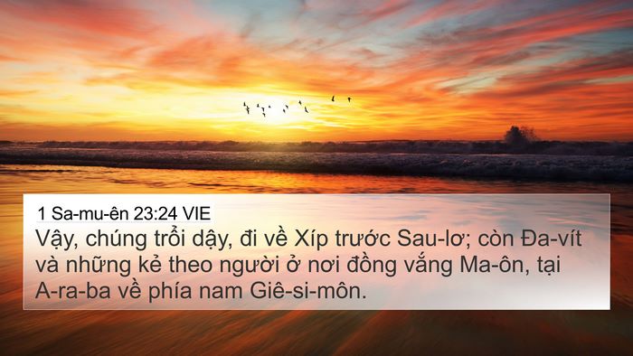 1 Sa-mu-ên 23:24 VIE Bible Verse Image