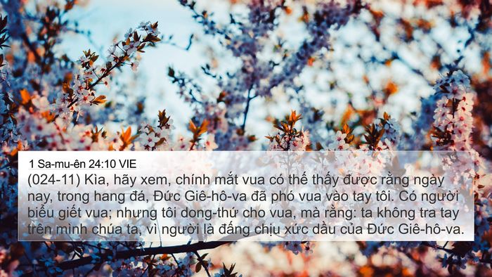 1 Sa-mu-ên 24:10 VIE Bible Verse Image