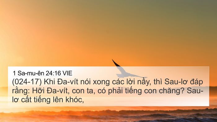 1 Sa-mu-ên 24:16 VIE Bible Verse Image