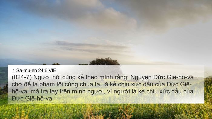 1 Sa-mu-ên 24:6 VIE Bible Verse Image