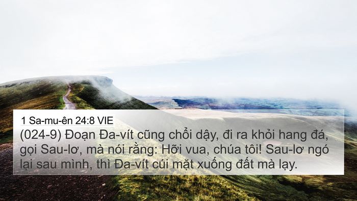 1 Sa-mu-ên 24:8 VIE Bible Verse Image