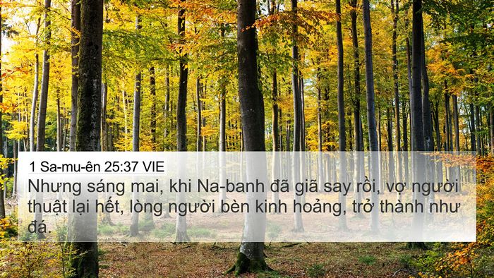 1 Sa-mu-ên 25:37 VIE Bible Verse Image